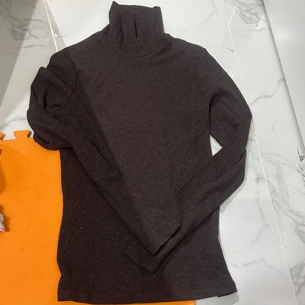 Agolde Rich Brown Turtleneck